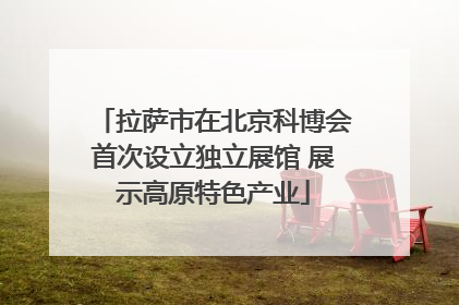 拉萨市在北京科博会首次设立独立展馆 展示高原特色产业