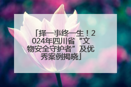 择一事终一生！2024年四川省“文物安全守护者”及优秀案例揭晓