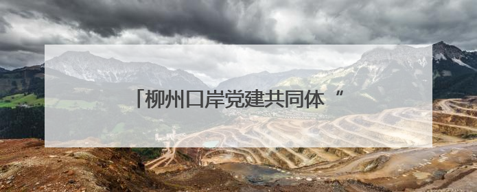 柳州口岸党建共同体“党建大讲堂”活动举行