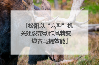 松阳以“六型”机关建设带动作风转变 一线赛马提效能
