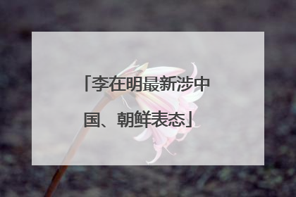 李在明最新涉中国、朝鲜表态