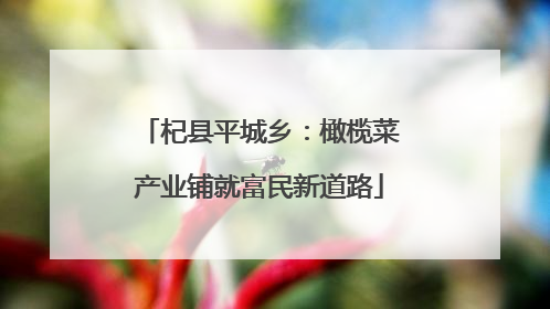杞县平城乡：橄榄菜产业铺就富民新道路