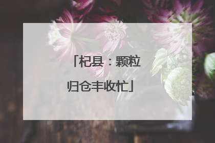 杞县：颗粒归仓丰收忙