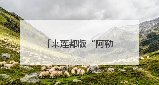 来莲都版“阿勒泰” 承包你的山野浪漫！《90早新闻》来了