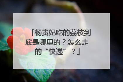 杨贵妃吃的荔枝到底是哪里的？怎么走的“快递”？