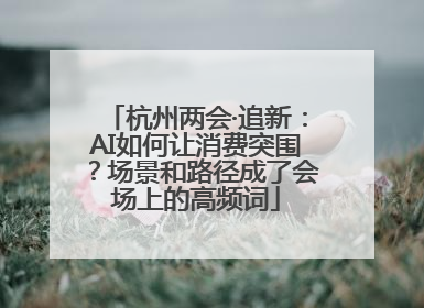 杭州两会·追新：AI如何让消费突围？场景和路径成了会场上的高频词