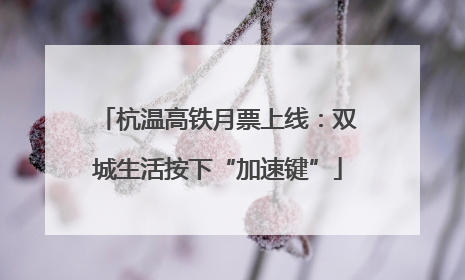 杭温高铁月票上线：双城生活按下“加速键”