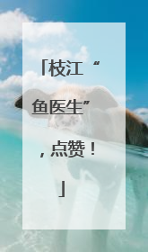 枝江“鱼医生”，点赞！