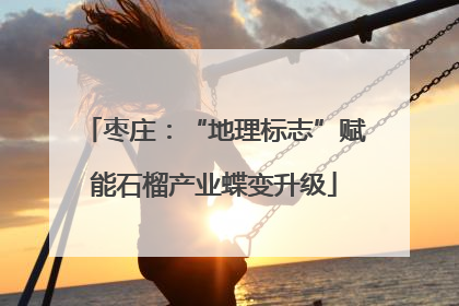 枣庄：“地理标志”赋能石榴产业蝶变升级
