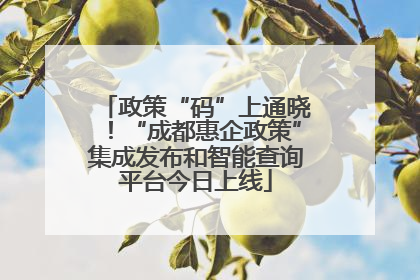 政策“码”上通晓！“成都惠企政策”集成发布和智能查询平台今日上线