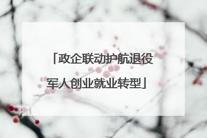 政企联动护航退役军人创业就业转型