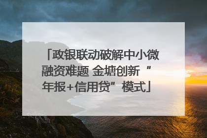 政银联动破解中小微融资难题 金塘创新“年报+信用贷”模式