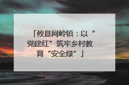 攸县网岭镇：以“党建红”筑牢乡村教育“安全绿”