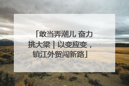 敢当弄潮儿 奋力挑大梁｜以变应变，镇江外贸闯新路