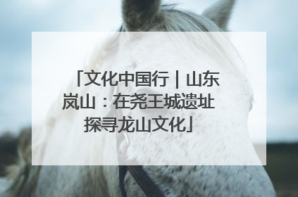 文化中国行｜山东岚山：在尧王城遗址探寻龙山文化
