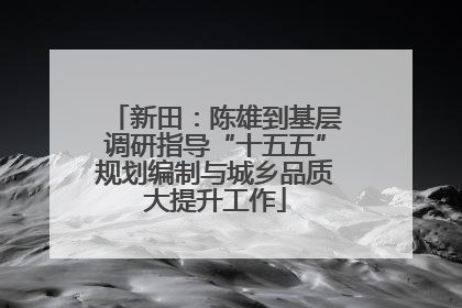 新田：陈雄到基层调研指导“十五五”规划编制与城乡品质大提升工作