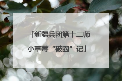 新疆兵团第十二师小草莓“破圈”记