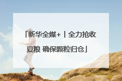 新华全媒+丨全力抢收夏粮 确保颗粒归仓