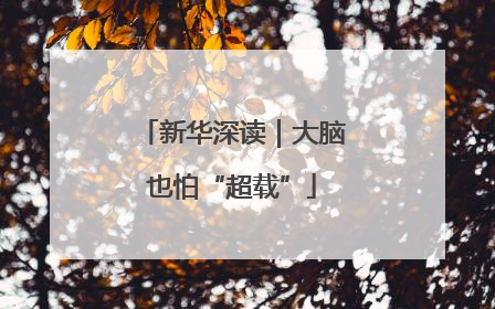 新华深读｜大脑也怕“超载”