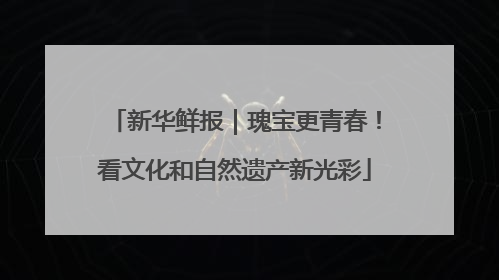 新华鲜报｜瑰宝更青春！看文化和自然遗产新光彩