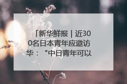 新华鲜报｜近300名日本青年应邀访华：“中日青年可以创造更好的未来”