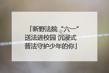 新野法院“六一”送法进校园 沉浸式普法守护少年的你