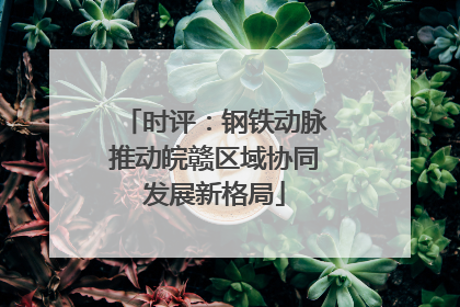 时评：钢铁动脉推动皖赣区域协同发展新格局