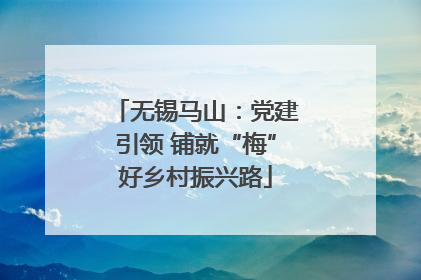 无锡马山：党建引领 铺就“梅”好乡村振兴路
