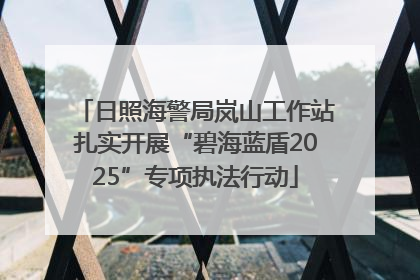 日照海警局岚山工作站扎实开展“碧海蓝盾2025”专项执法行动
