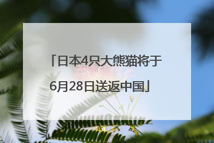 日本4只大熊猫将于6月28日送返中国