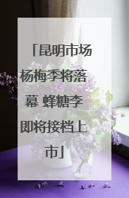 昆明市场杨梅季将落幕 蜂糖李即将接档上市