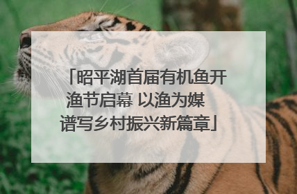昭平湖首届有机鱼开渔节启幕 以渔为媒 谱写乡村振兴新篇章
