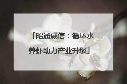 昭通威信：循环水养虾助力产业升级