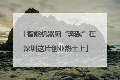 智能机器狗“奔跑”在深圳这片创业热土上
