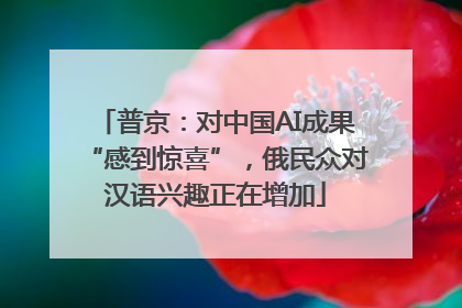 普京：对中国AI成果“感到惊喜”，俄民众对汉语兴趣正在增加