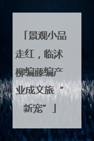 景观小品走红，临沭柳编藤编产业成文旅“新宠”