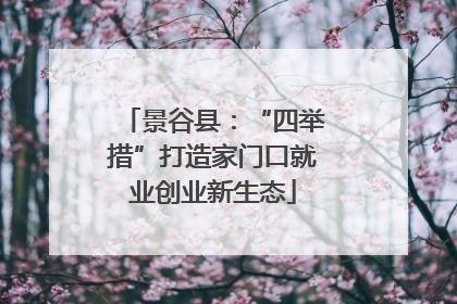 景谷县：“四举措”打造家门口就业创业新生态