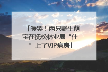 暖哭！两只野生萌宝在抚松林业局“住”上了VIP病房