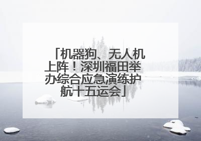 机器狗、无人机上阵！深圳福田举办综合应急演练护航十五运会