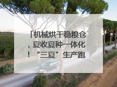 机械烘干稳粮仓，夏收夏种一体化！“三夏”生产跑出加速度｜麦报
