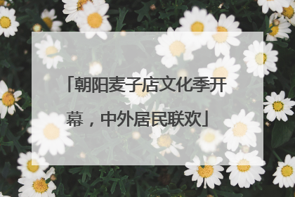 朝阳麦子店文化季开幕，中外居民联欢