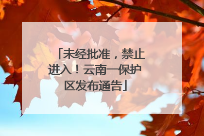 未经批准，禁止进入！云南一保护区发布通告