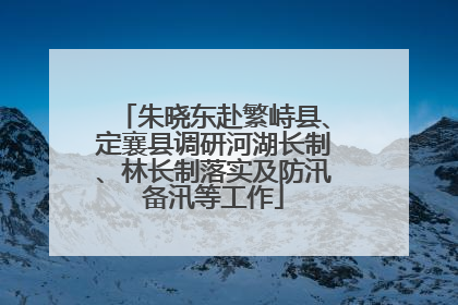 朱晓东赴繁峙县、定襄县调研河湖长制、林长制落实及防汛备汛等工作