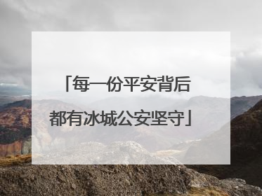 每一份平安背后 都有冰城公安坚守