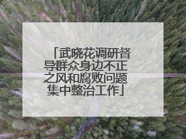 武晓花调研督导群众身边不正之风和腐败问题集中整治工作