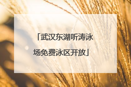 武汉东湖听涛泳场免费泳区开放