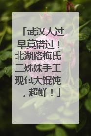 武汉人过早莫错过！北湖路梅氏三姊妹手工现包大馄饨，超鲜！