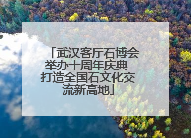 武汉客厅石博会举办十周年庆典 打造全国石文化交流新高地