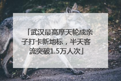 武汉最高摩天轮成亲子打卡新地标，半天客流突破1.5万人次