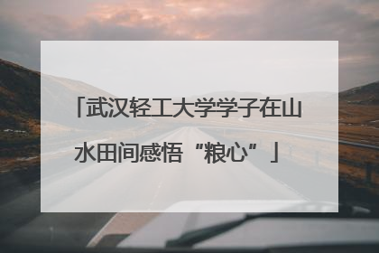 武汉轻工大学学子在山水田间感悟“粮心”
